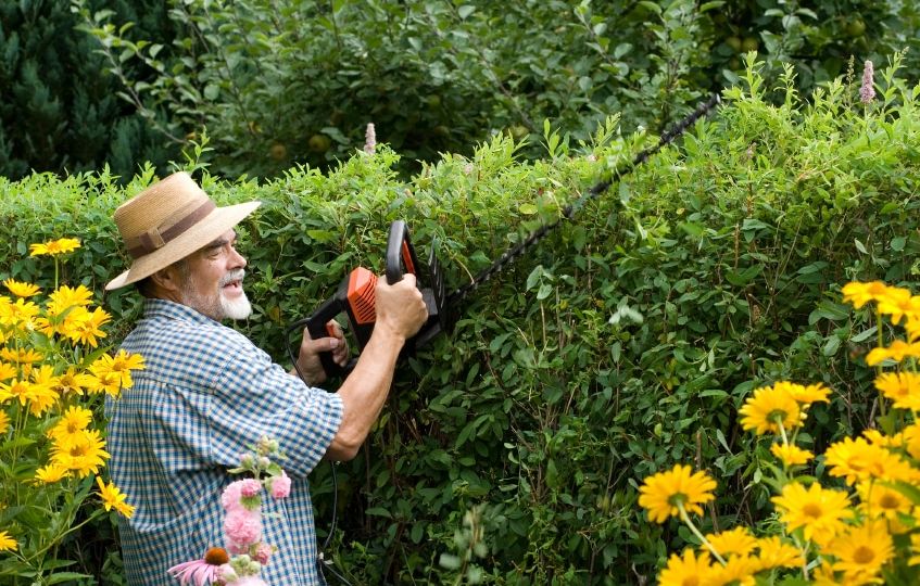 How To Cut Hedges - Northside Tool Rental