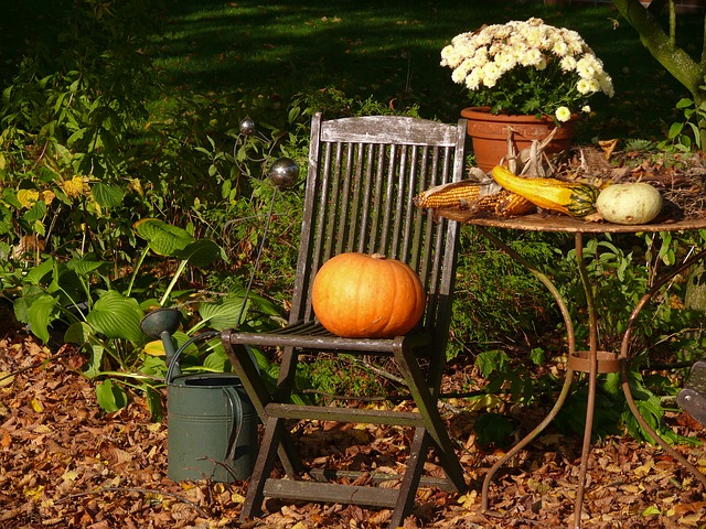 Fall Landscaping Ideas - Northside Tool Rental