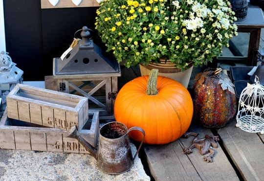 Fall Yard Decorating Ideas - Northside Tool Rental